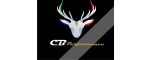 CB PERFORMANCE